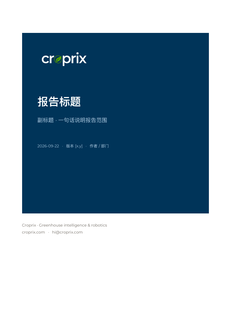 报告封面预览